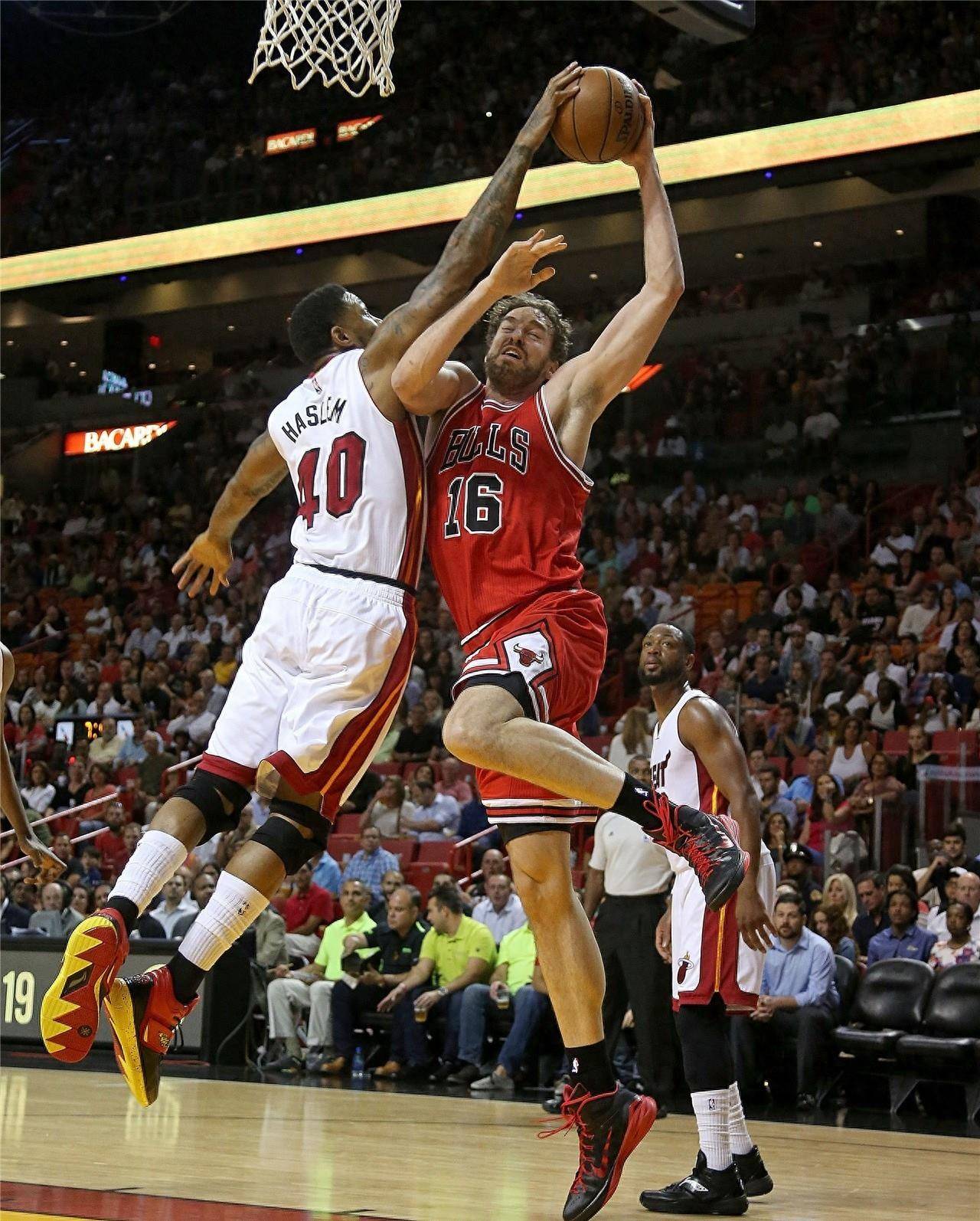 的能力上都 的能力上都