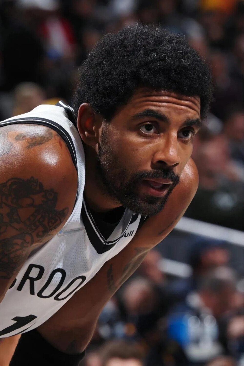 家队的核心 家队的核心