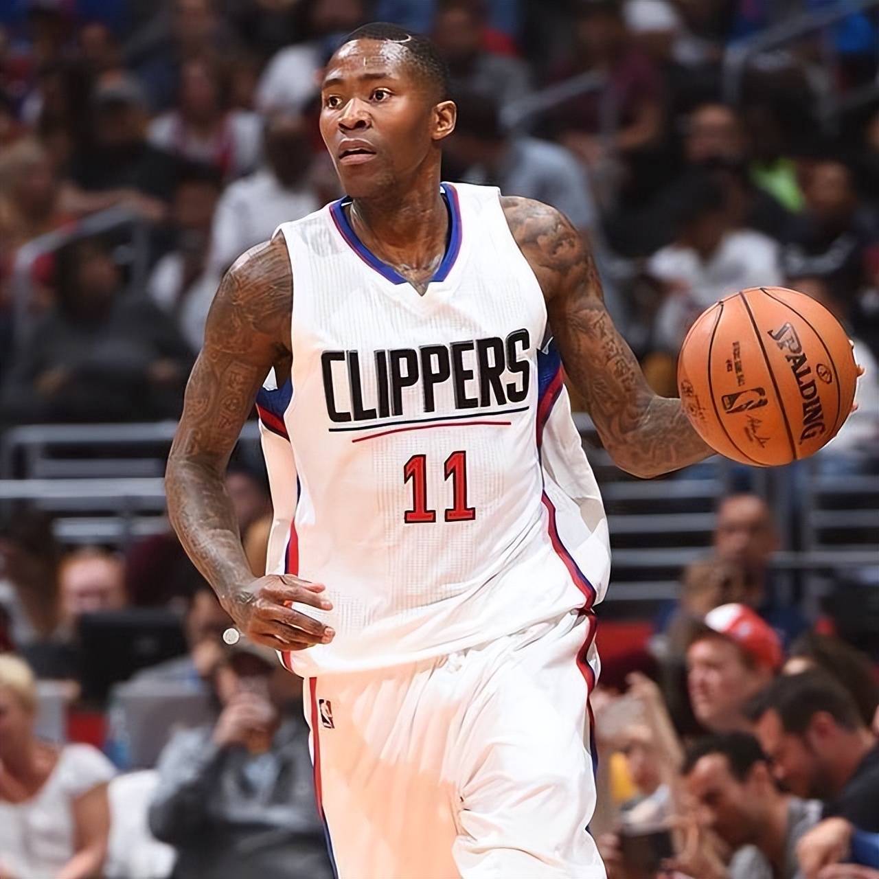 的基础理念 的基础理念