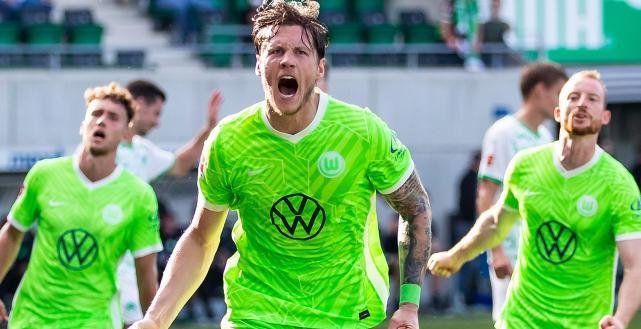 与三角草丛 与三角草丛